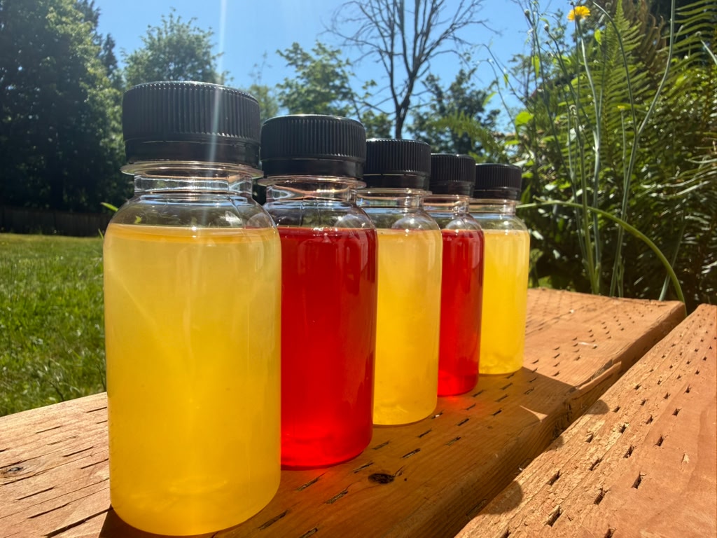 Experimental Extract Shots